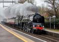 Photograph of DUKE OF GLOUCESTER - 71000 DUKE OF GLOUCESTER at Midgham on 06/12/25