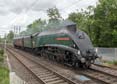 Photograph of UNION OF SOUTH AFRICA - 60009 UNION OF SOUTH AFRICA at Midgham on 09/06/19