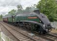 Photograph of UNION OF SOUTH AFRICA - 60009 UNION OF SOUTH AFRICA at Midgham on 09/06/19