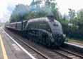 Photograph of UNION OF SOUTH AFRICA - 60009 UNION OF SOUTH AFRICA at Midgham on 12/08/17