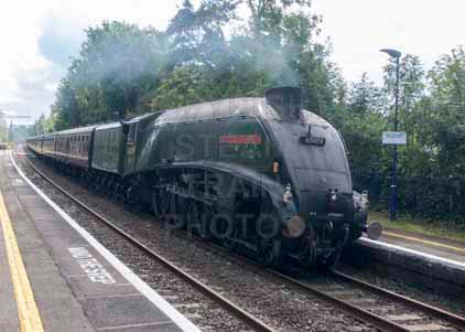 Purchase photo of 60009 UNION OF SOUTH AFRICA at Midgham