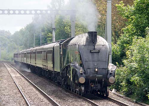 See large image