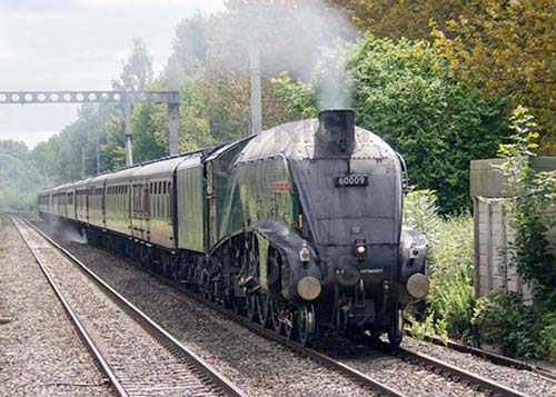 See large image