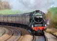 Photograph of SHERWOOD FORESTER - 45231 SHERWOOD FORESTER at Mortimer on 08/12/23