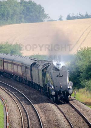 Purchase photo of 60009 UNION OF SOUTH AFRICA at Mortimer