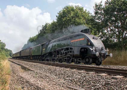 Purchase photo of 60009 UNION OF SOUTH AFRICA at Mortimer