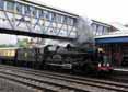 Photograph of EARL OF MOUNT EDGCUMBE - 5043 EARL OF MOUNT EDGCUMBE at Newbury on 18/06/11