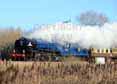 Photograph of TORNADO - 60163 TORNADO at Newbury on 29/11/12