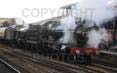 Poster ofROOD ASHTON HALL - 4965 ROOD ASHTON HALL &  5043 EARL OF MOUNT EDGCUMBE at Oxford on 26/04/13