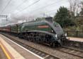 Photograph of UNION OF SOUTH AFRICA - 60009 UNION OF SOUTH AFRICA at Pangbourne on 20/11/18