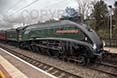 Poster ofUNION OF SOUTH AFRICA - 60009 UNION OF SOUTH AFRICA at Pangbourne on 20/11/18