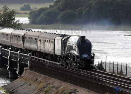 Purchase photo of 60019 BITTERN at Poole