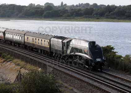 Purchase photo of 60019 BITTERN at Poole