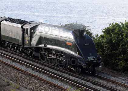 Purchase photo of 60019 BITTERN at Poole