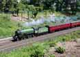 Photograph of MAYFLOWER - 61306 MAYFLOWER at Reading on 07/06/15