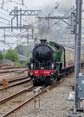 Photograph of MAYFLOWER - 61306 MAYFLOWER at Reading on 21/08/25
