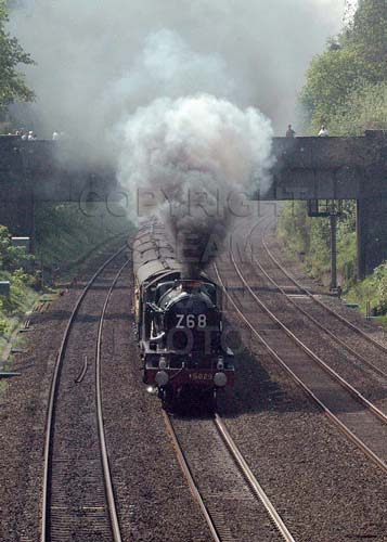 See large image