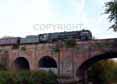 Photograph of OLIVER CROMWELL - 70013 OLIVER CROMWELL at Reading on 28/09/14