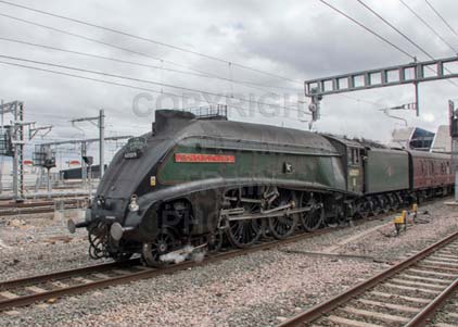 Purchase photo of 60009 UNION OF SOUTH AFRICA at Reading