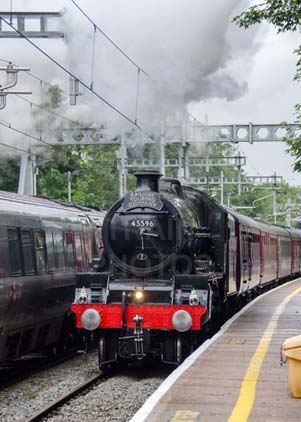 Purchase photo of 45596 BAHAMAS at Reading West