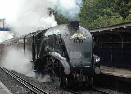 Purchase photo of 60019 BITTERN at Reading West