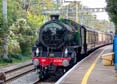 Photograph of MAYFLOWER - 61306 MAYFLOWER at Reading West on 10/09/23