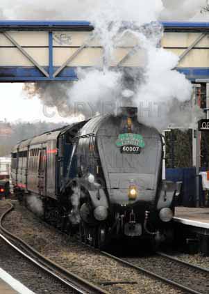 Purchase photo of 60007 SIR NIGEL GRESLEY at Reading West