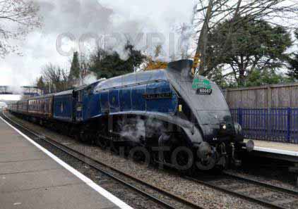 Purchase posters of 60007 SIR NIGEL GRESLEY