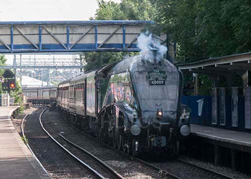 See large image