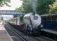 Photograph of UNION OF SOUTH AFRICA - 60009 UNION OF SOUTH AFRICA at Reading West on 18/07/17