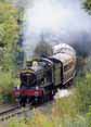 Photograph of KINLET HALL - 4936 KINLET HALL at Severn Valley Railway on 22/09/13