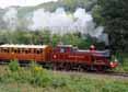 Photograph of MET LOCO NO.1 - MET1 MET LOCO NO.1 at Severn Valley Railway on 22/09/13