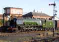 Photograph of DUCHESS OF SUTHERLAND - 46233 DUCHESS OF SUTHERLAND at Severn Valley Railway on 22/09/13