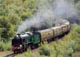 Photograph of CHELTENHAM - 925 CHELTENHAM at Severn Valley Railway on 22/09/13
