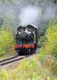 Photograph of 2-6-2T - 5542 2-6-2T at Severn Valley Railway on 26/09/10