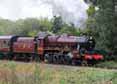 Photograph of LEANDER - 45690 LEANDER at Severn Valley Railway on 26/09/10