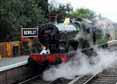 Photograph of 0-6-0 - 3205 0-6-0 at Severn Valley Railway on 26/09/10