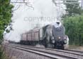 Photograph of UNION OF SOUTH AFRICA - 60009 UNION OF SOUTH AFRICA at Steventon on 22/02/20