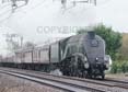 Photograph of UNION OF SOUTH AFRICA - 60009 UNION OF SOUTH AFRICA at Steventon on 22/02/20