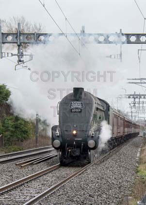 Purchase photo of 60009 UNION OF SOUTH AFRICA at Steventon
