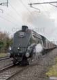 Photograph of UNION OF SOUTH AFRICA - 60009 UNION OF SOUTH AFRICA at Steventon on 22/02/20