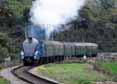 Photograph of DOMINION OF NEW ZEALAND (BITTERN) - 4492 DOMINION OF NEW ZEALAND (BITTERN) at Swanage Railway on 09/09/11