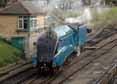 Photograph of DOMINION OF NEW ZEALAND (BITTERN) - 4492 DOMINION OF NEW ZEALAND (BITTERN) at Swanage Railway on 09/09/11