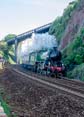 61306 MAYFLOWER Click to purchase photographs