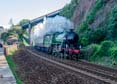 61306 MAYFLOWER Click to purchase photographs