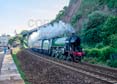 61306 MAYFLOWER Click to purchase photographs