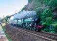 61306 MAYFLOWER Click to purchase photographs