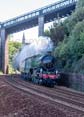 61306 MAYFLOWER Click to purchase photographs