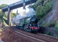 61306 MAYFLOWER Click to purchase photographs