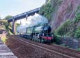 61306 MAYFLOWER Click to purchase photographs